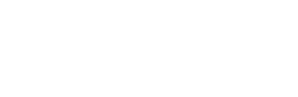 Prime Global logo
